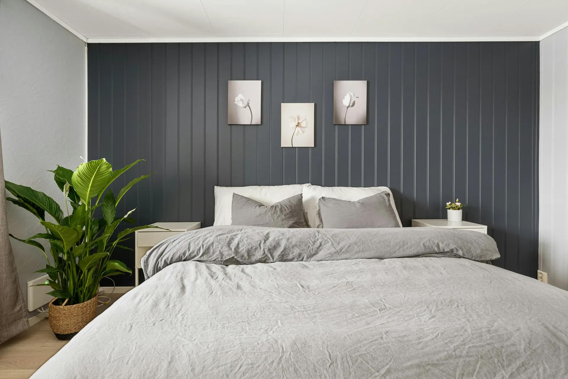 A bedroom with a bed and a plant in the corner
