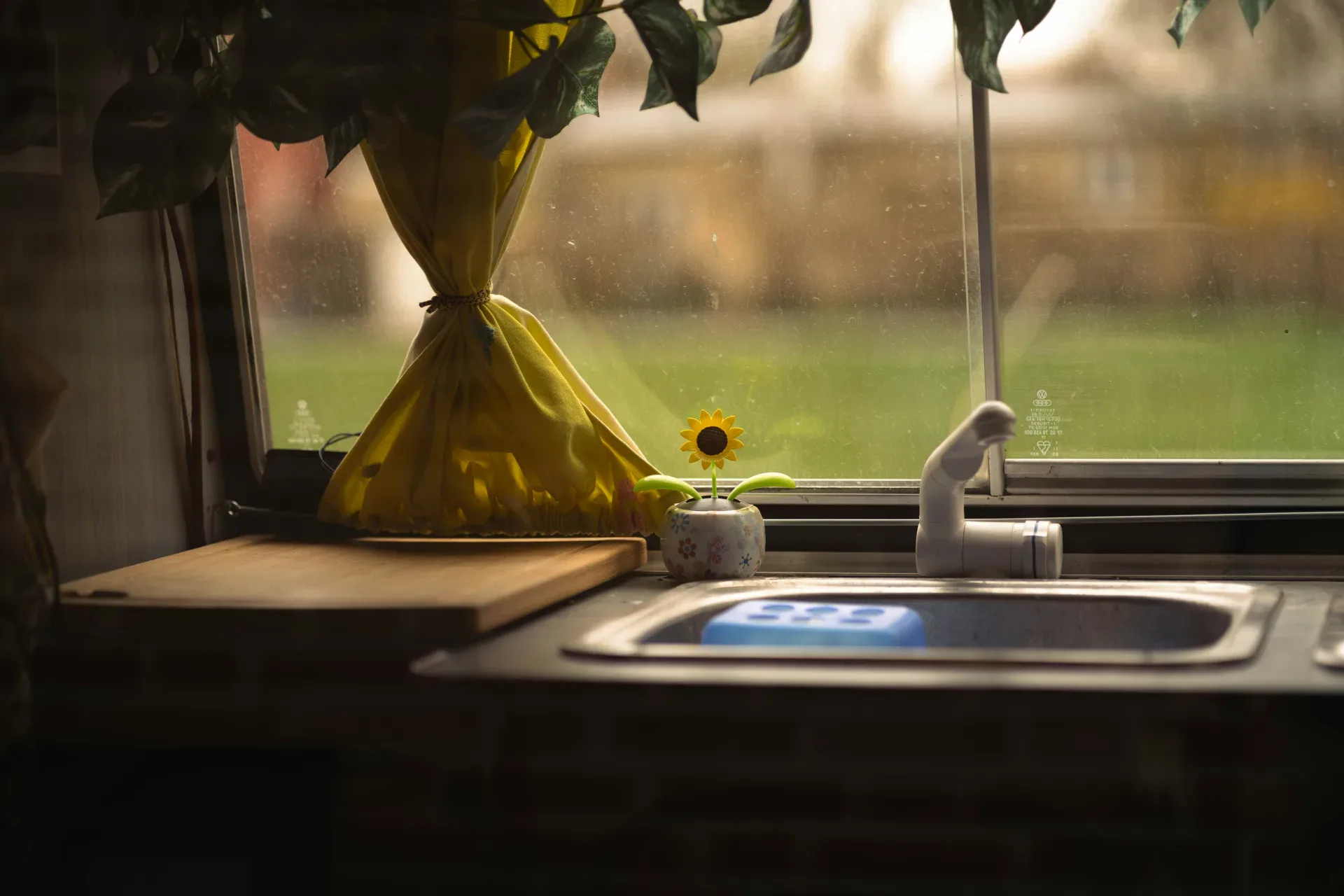 A small sunflower sits by a kitchen sink window.