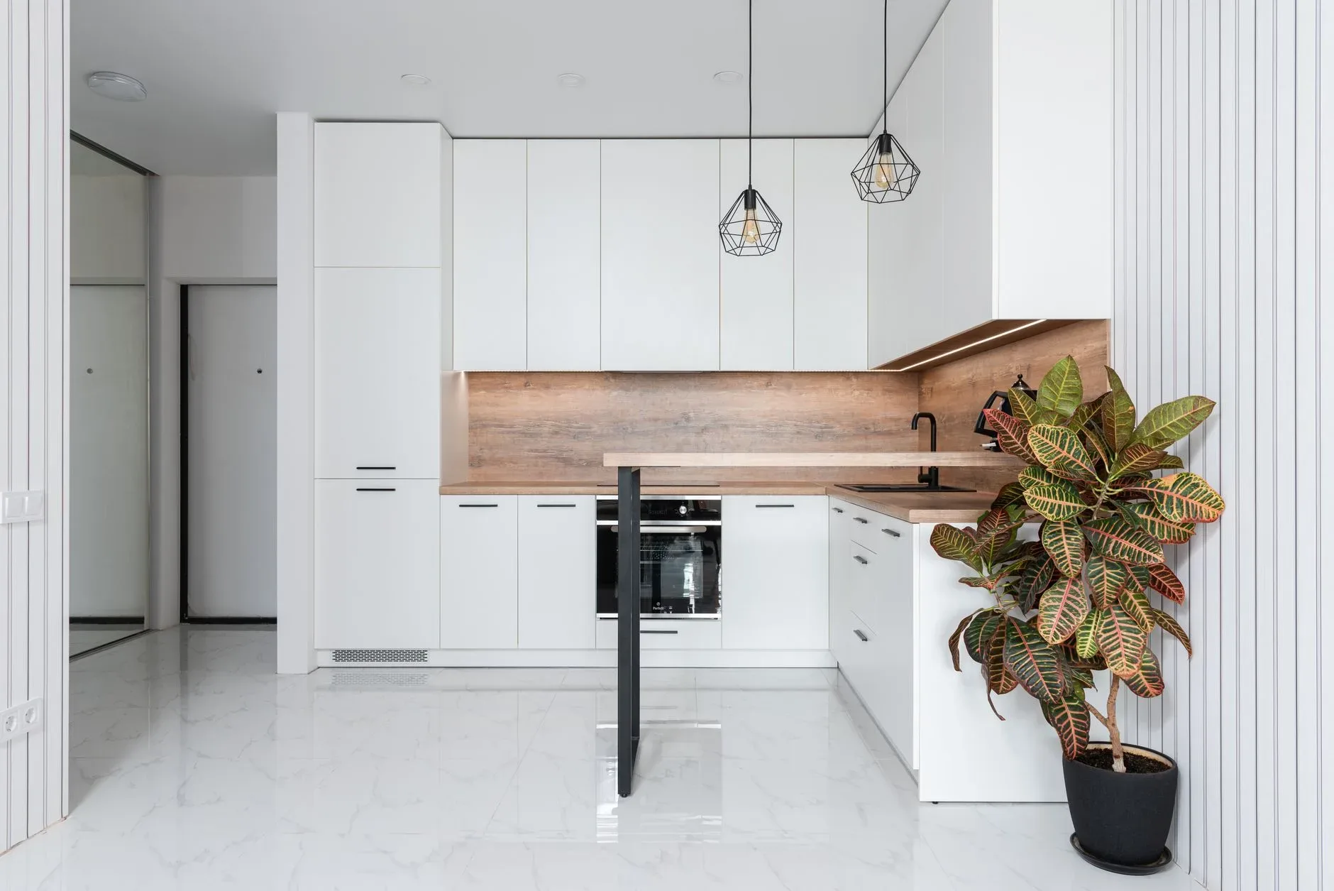 Potted Codiaeum variegatum plant decorating spacious light kitchen with minimalist white furniture and modern appliances at home